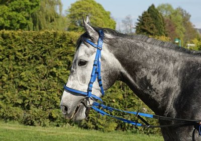 Remedial Sieg 14April14 DSC04463