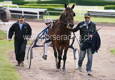 scs 01 0017 Playboy Wind