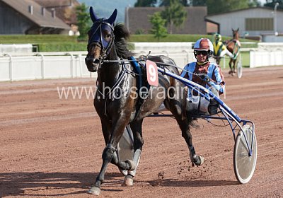 scs 04 0006 Timoa