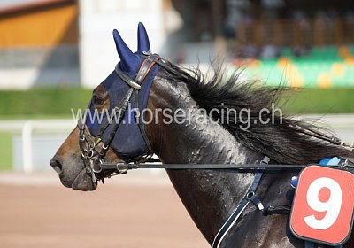 scs 04 0007 Timoa