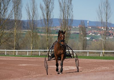 DSC04876 Belgino