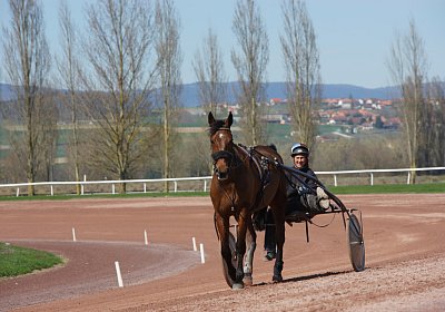 DSC04970 Belgino