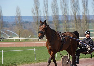 DSC04977 Belgino