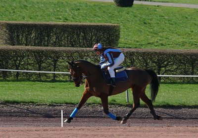 DSC05016 Prince