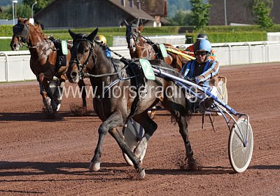 scs 150529 0088 Global Spotify Carat