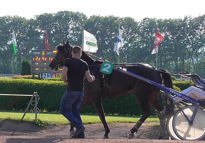 seS1300001 Global Sieg