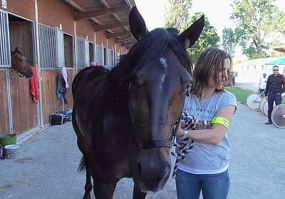 zS1300009 Global Sieg