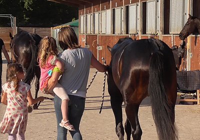 zS1300014 Global Sieg