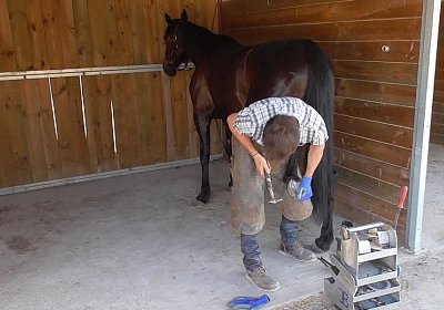 zS1300020 Timoa Sieg