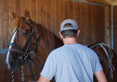 DSC09425 Quodiak 10 juli 15