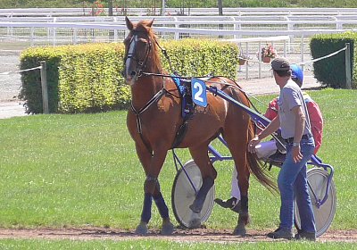 E S1360002 Quodiak 10 juli 15