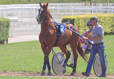 E S1360003 Quodiak 10 juli 15