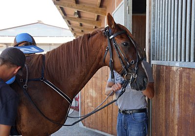 F DSC09587 Quodiak 10 juli 15