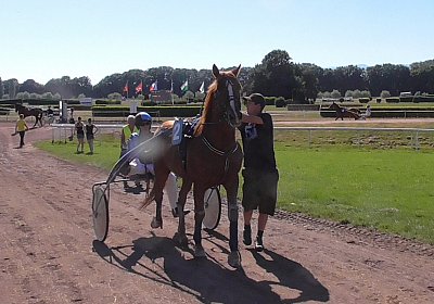 S1360020 Quodiak 10 juli 15