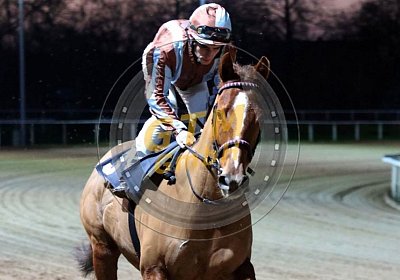 Kugelblitz 1 Aufgalopp1