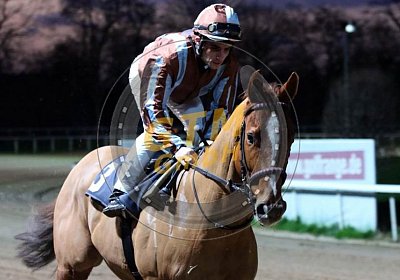 Kugelblitz 1 Aufgalopp2