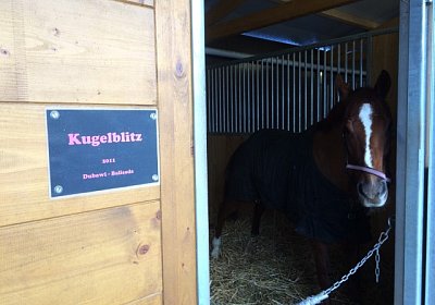 Kugelblitz Paris 17jan16 img 8999 (Small)