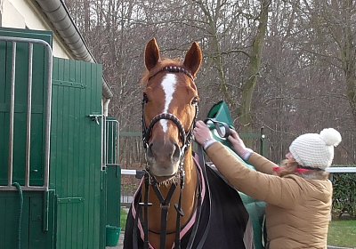 S1420004 Kugelblitz 18jan16 Chantilly