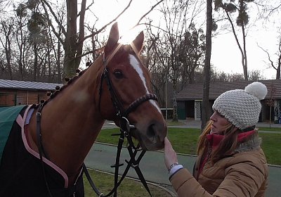 S1420006 Kugelblitz 18jan16 Chantilly