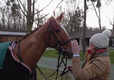 S1420007 Kugelblitz 18jan16 Chantilly