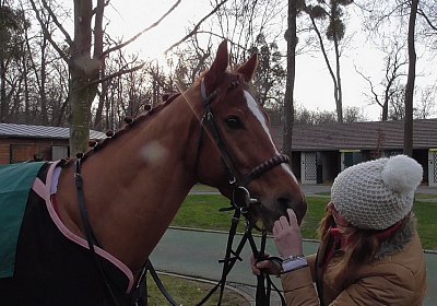 S1420008 Kugelblitz 18jan16 Chantilly