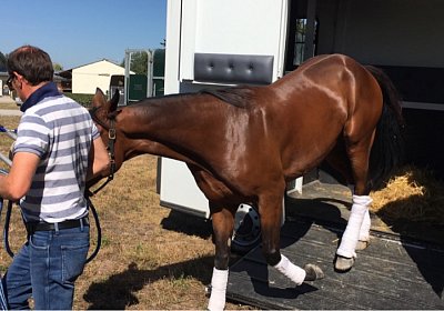 Vancouver Strassburg 2016 09 08 A img 1738