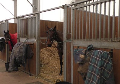 Cagnes VancouverS1800003