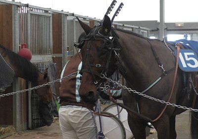 Cagnes VancouverS1800013