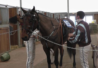 Cagnes VancouverS1800017