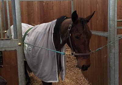 Cagnes VancouverS1800075b