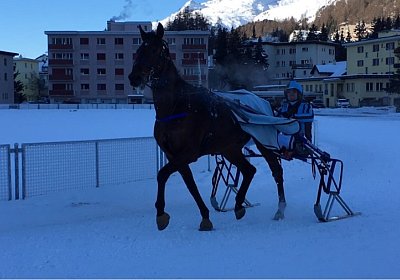 aa2 Top Polowiese img 4825