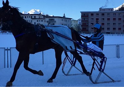 aa2 Top Polowiese img 4826