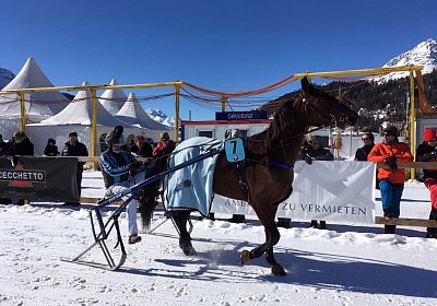 aa3 Top Fuehrrring img 4829