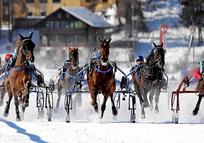 amex3135 Belgino Top Winner