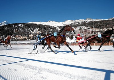 az maa18728 Top Winner