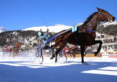 cm Top IMG 5648a hompage