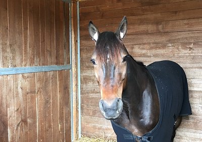 Globi AnkunftIMG 6318