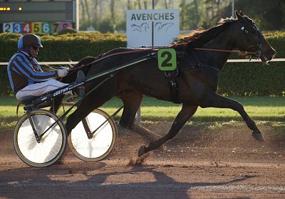 Globi scs 170509 0083 Global Spotify