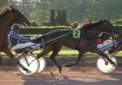 Globi scs 170509 0092 Global Spotify