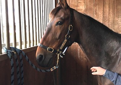 Rebel Halfter IMG 6320