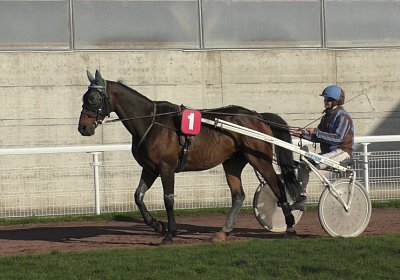 Rebel Patricia S1880020