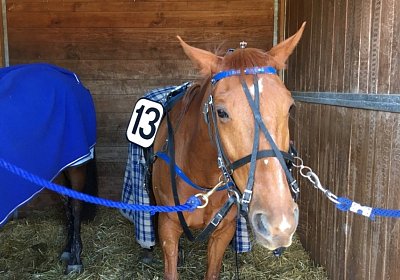 Till Konzentrationsphase IMG 6324