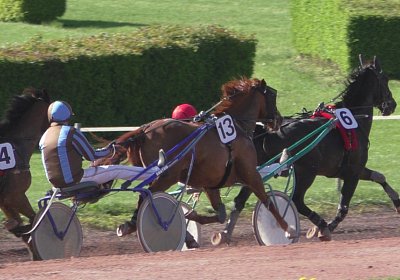 Till Rennen S1880007