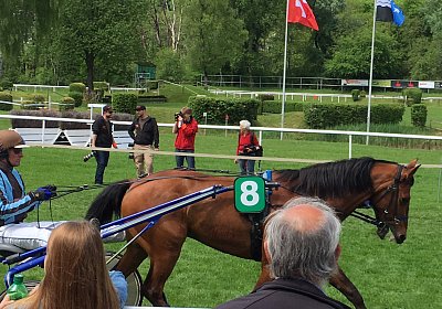 Rebus Aarau 14mai17 Parade IMG 6376