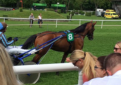 Rebus Aarau 14mai17 Parade IMG 6377