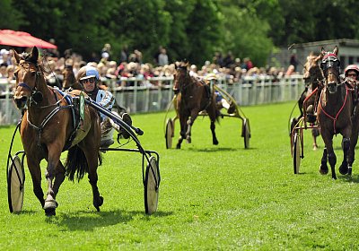 Rebus Aarau 14mai17 Rennen uw 03 05 rebus etc