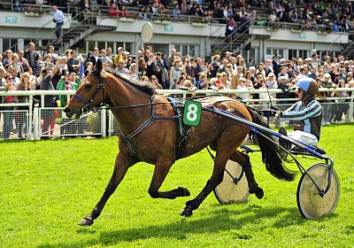 Rebus Aarau 14mai17 Rennen uw 03 06 rebus
