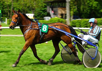 Rebus Aarau 14mai17 z Ehrung nv 03 02 rebus