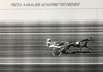 Rebus Aarau 14mai17 zz Zielfoto IMG 6384