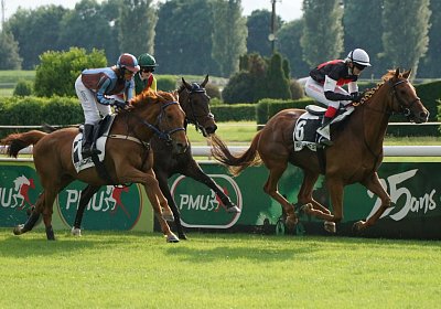 scs 170530 0074 Urquiro Gitan Ravenna